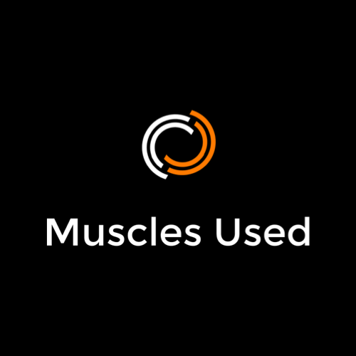 Muscles Used